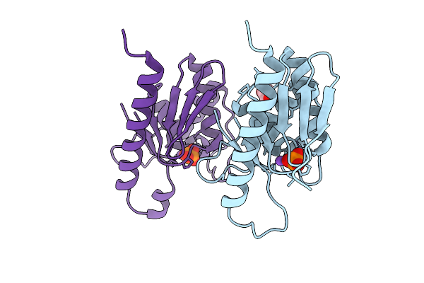 9C63 image