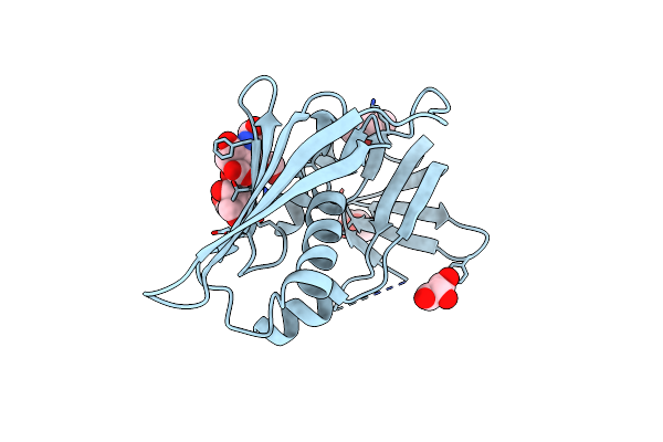 9C65 image