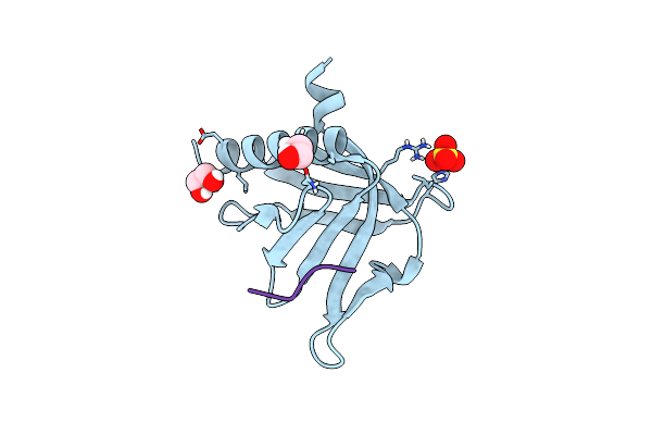 9C66 image