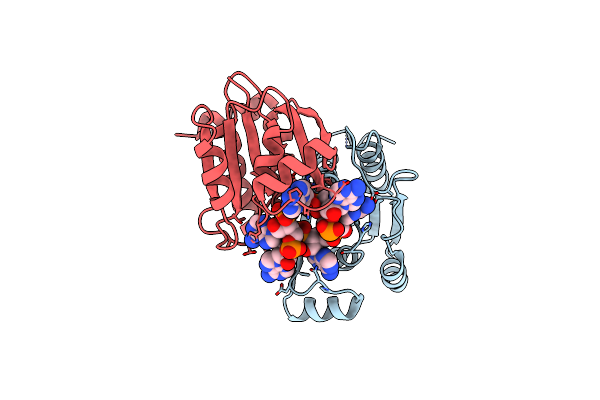 9C68 image