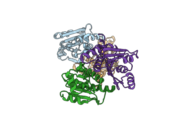 9C6A image