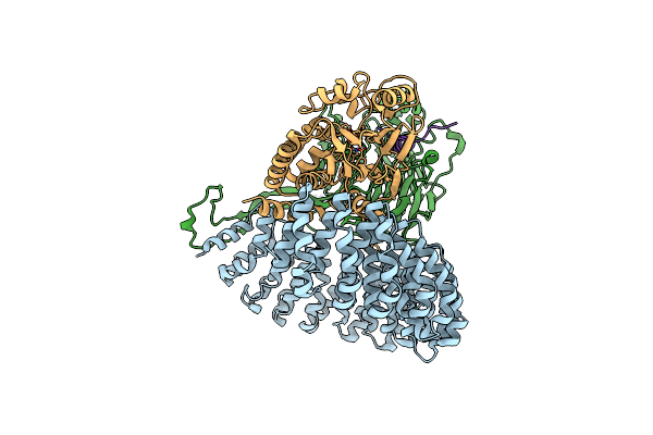 9C6B image