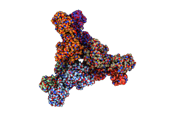 9C6C image