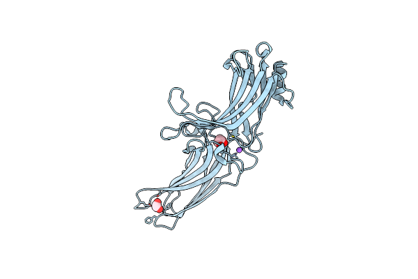 9C6E image