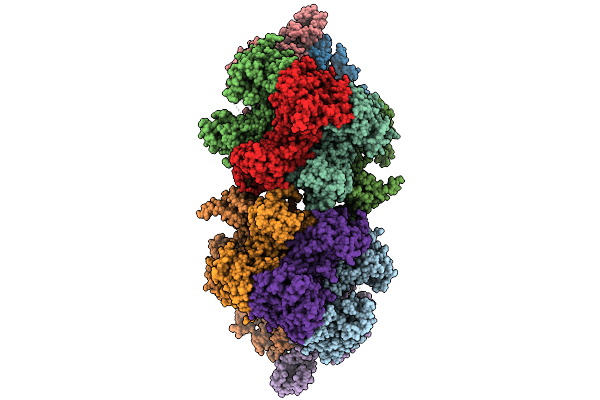 9C6G image