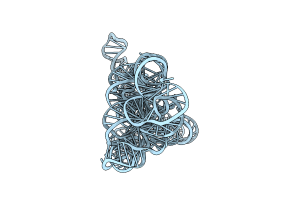 9C6I image