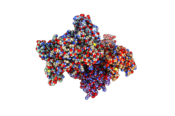 9C6L image