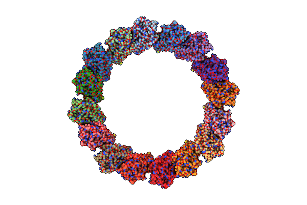9C6R image