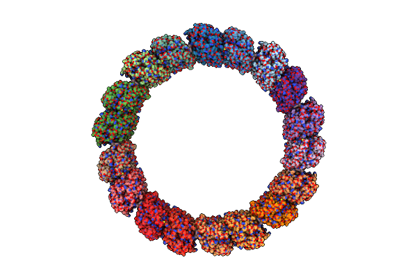 9C6S image