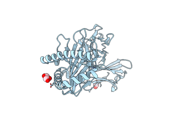 9C6V image
