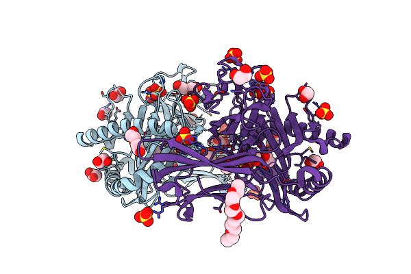 9C6W image