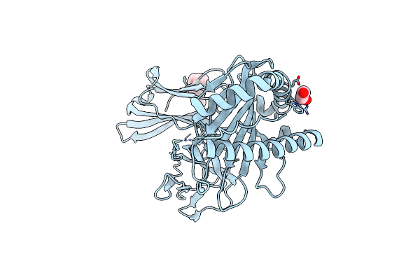9C6X image