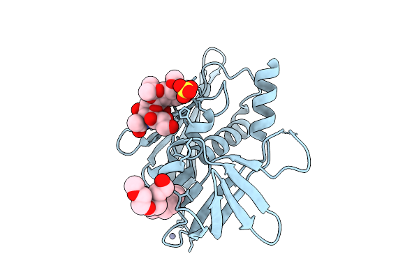 9C6Z image