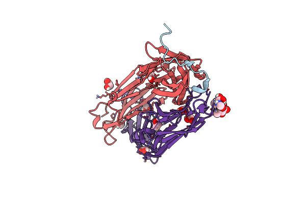 9C79 image
