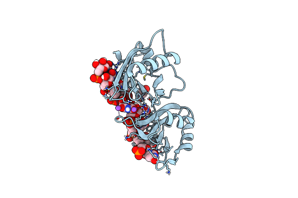 9C7A image