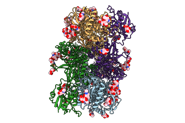 9C7C image