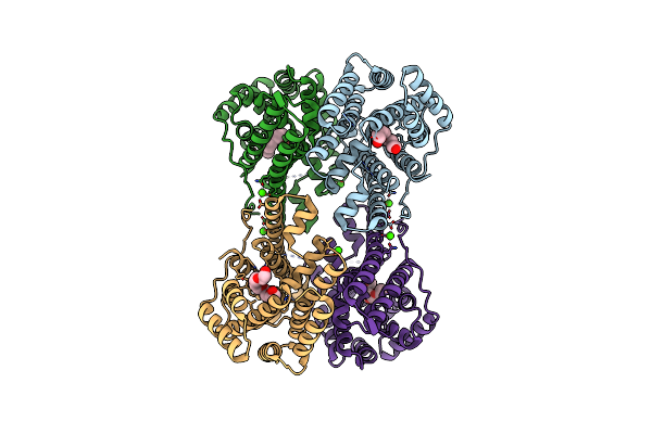 9C7I image