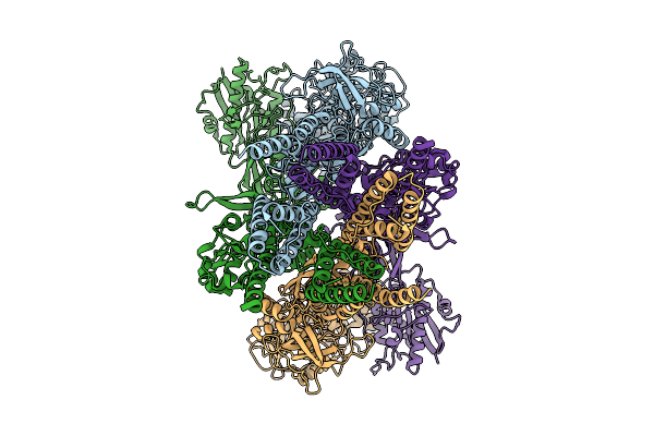 9C7Q image