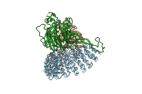 9C7T image