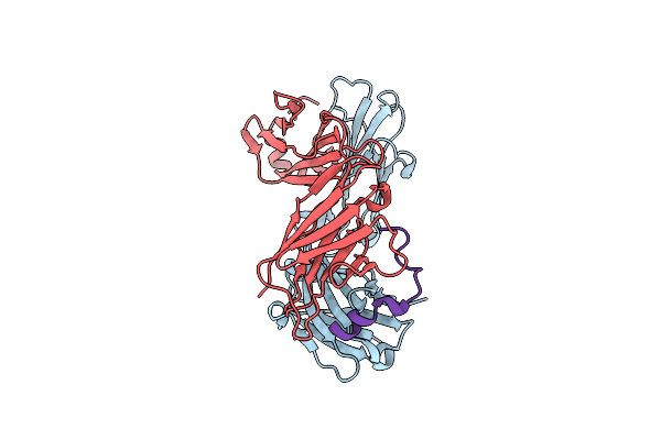 9C7X image