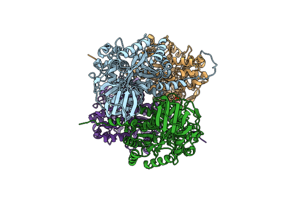 9C86 image