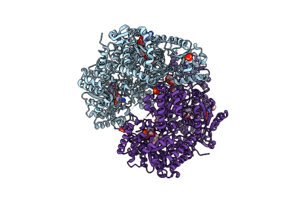 9C8C image