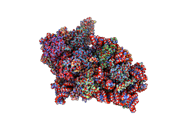 9C8K image