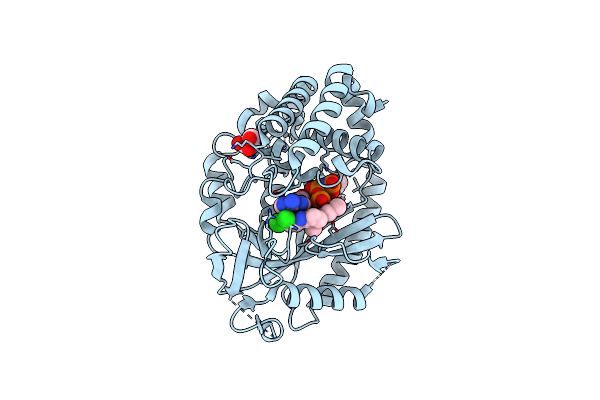 9C8N image