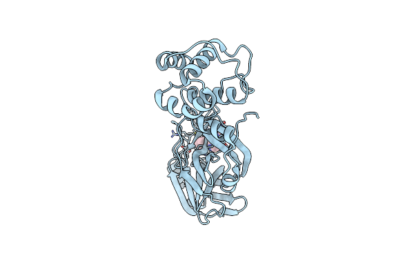 9C8Q image
