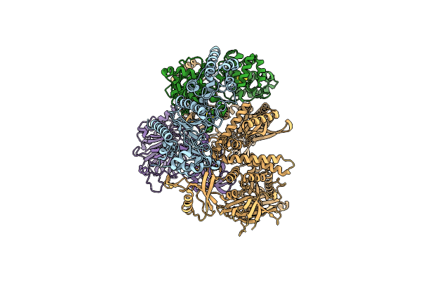 9C8V image