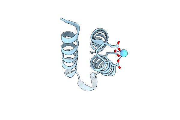 9C8X image