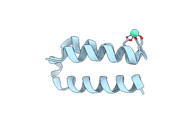 9C8Z image