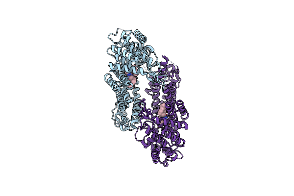 9C92 image