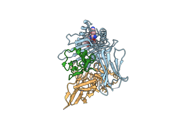 9C96 image