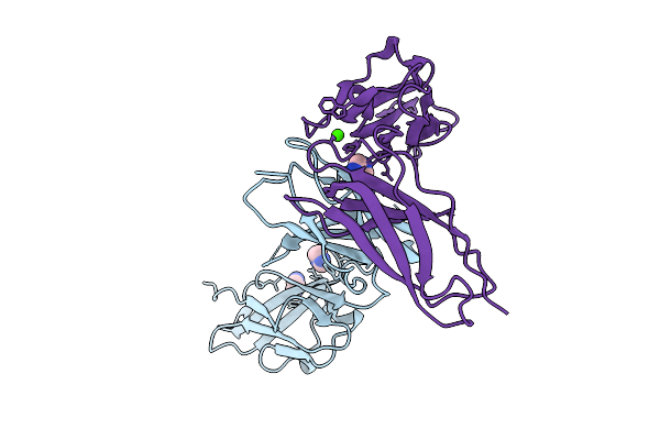 9C9C image