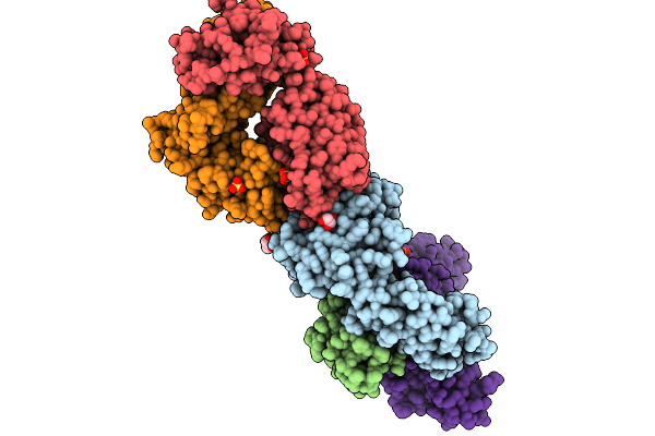 9C9D image