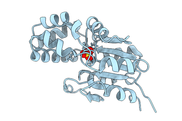 9C9E image