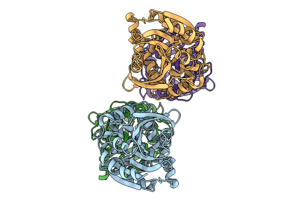 9C9F image