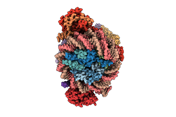 9C9G image