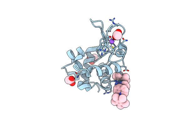 9C9H image