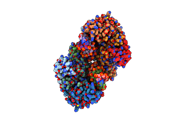 9C9M image