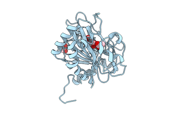 9C9N image