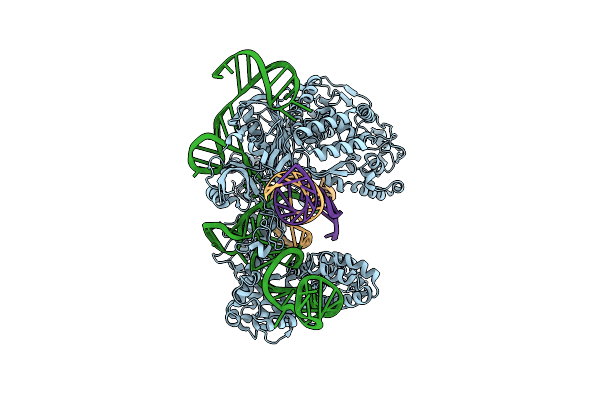9C9P image