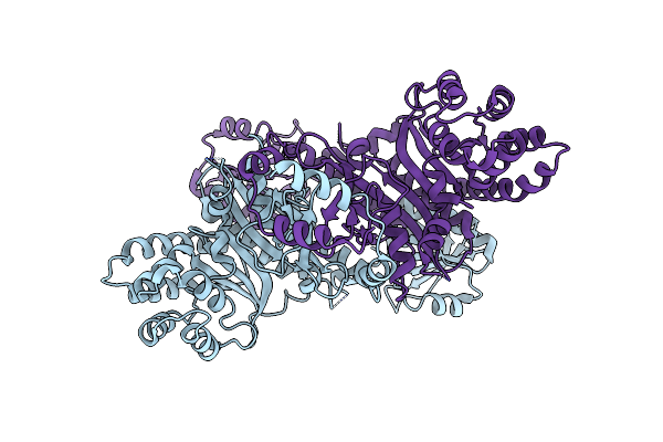 9C9R image