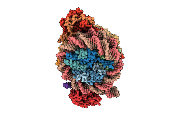 9C9T image