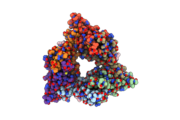 9C9V image