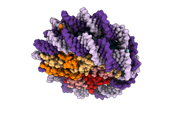 9C9X image