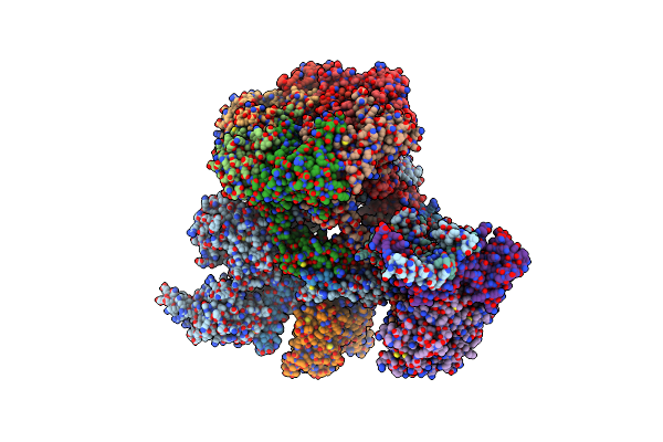 9CAC image