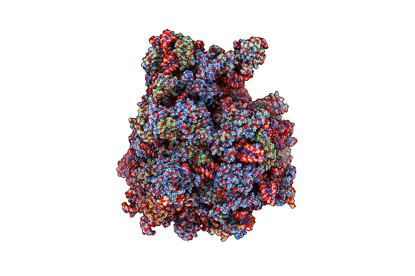 9CAI image