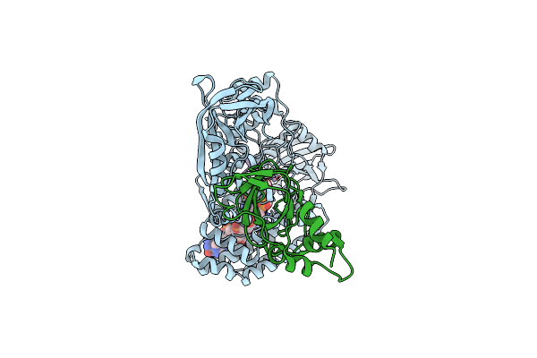 9CAK image